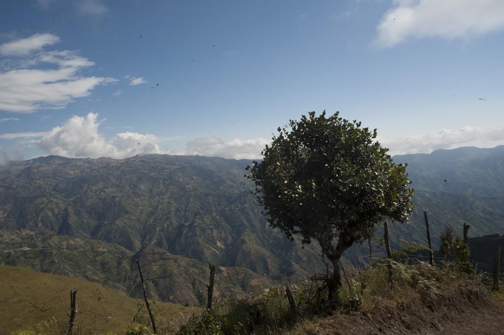 Guaranda