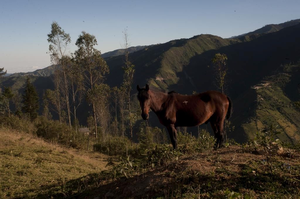 Guaranda