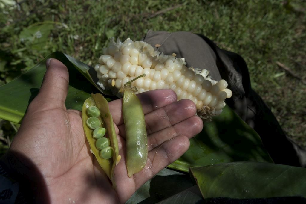 Guaranda