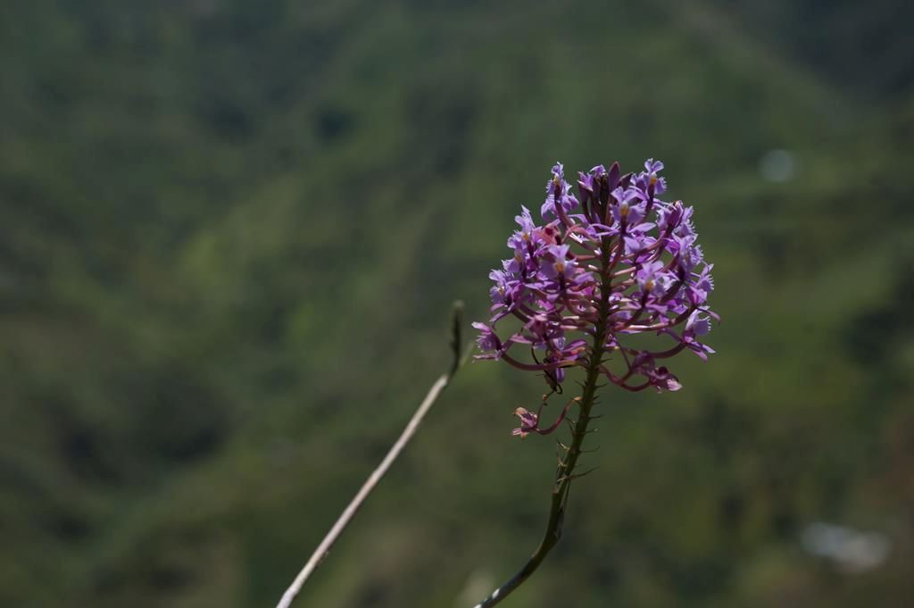 Guaranda