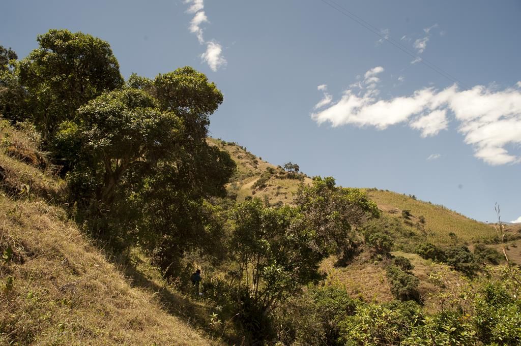 Guaranda