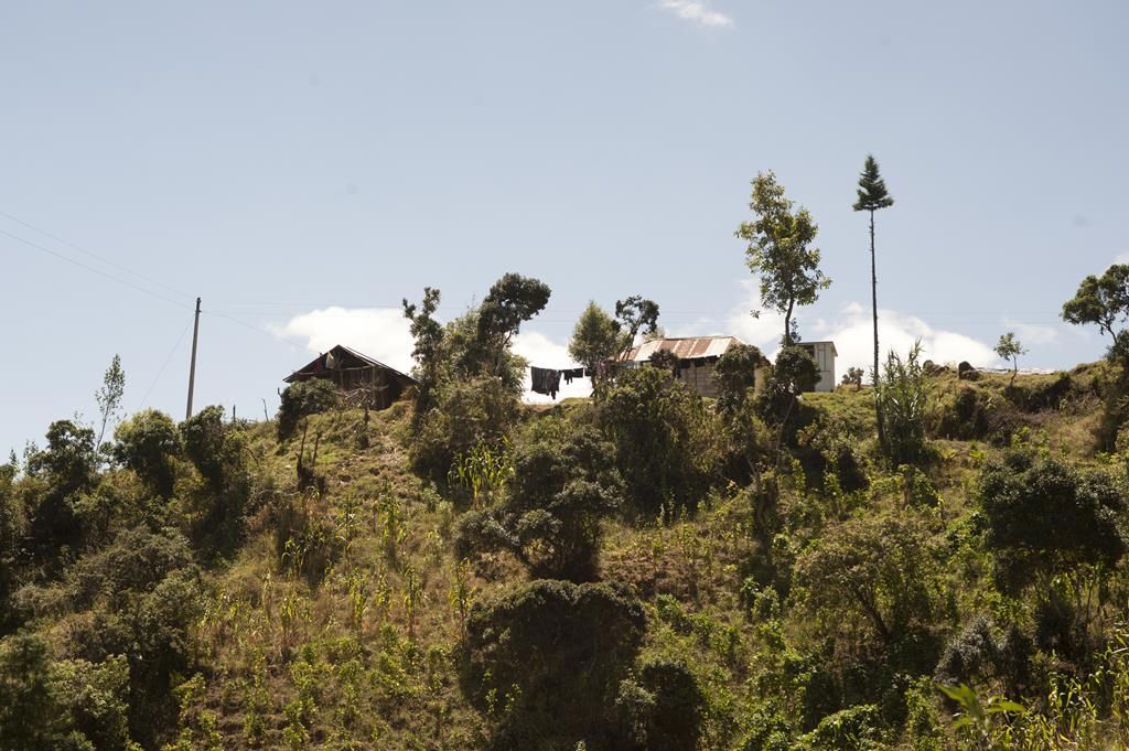 Guaranda