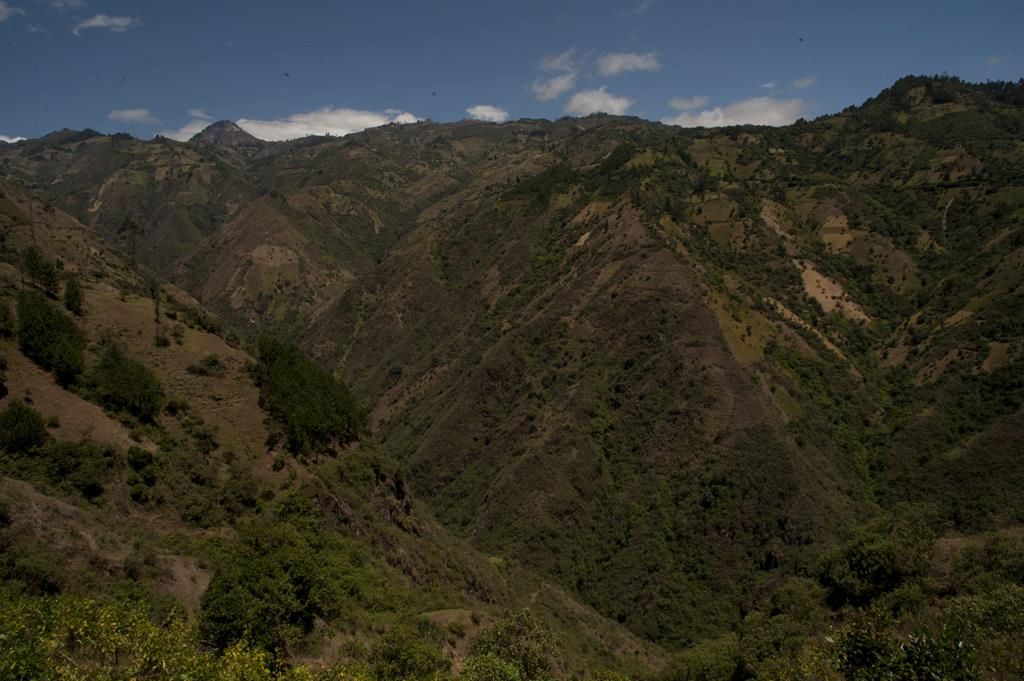 Guaranda