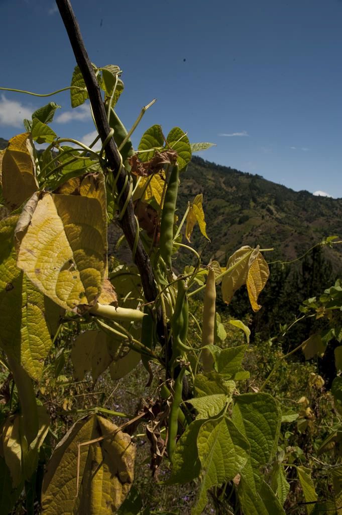 Guaranda