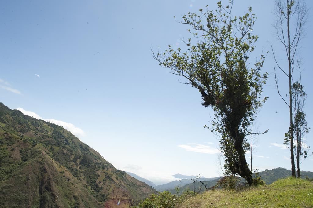 Guaranda