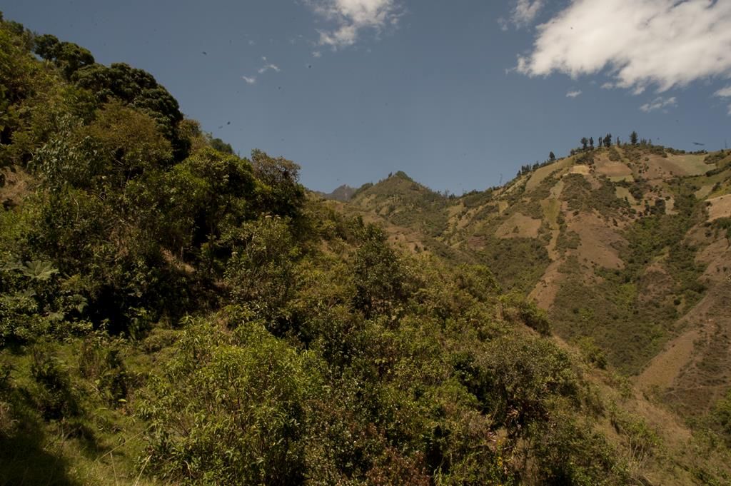 Guaranda