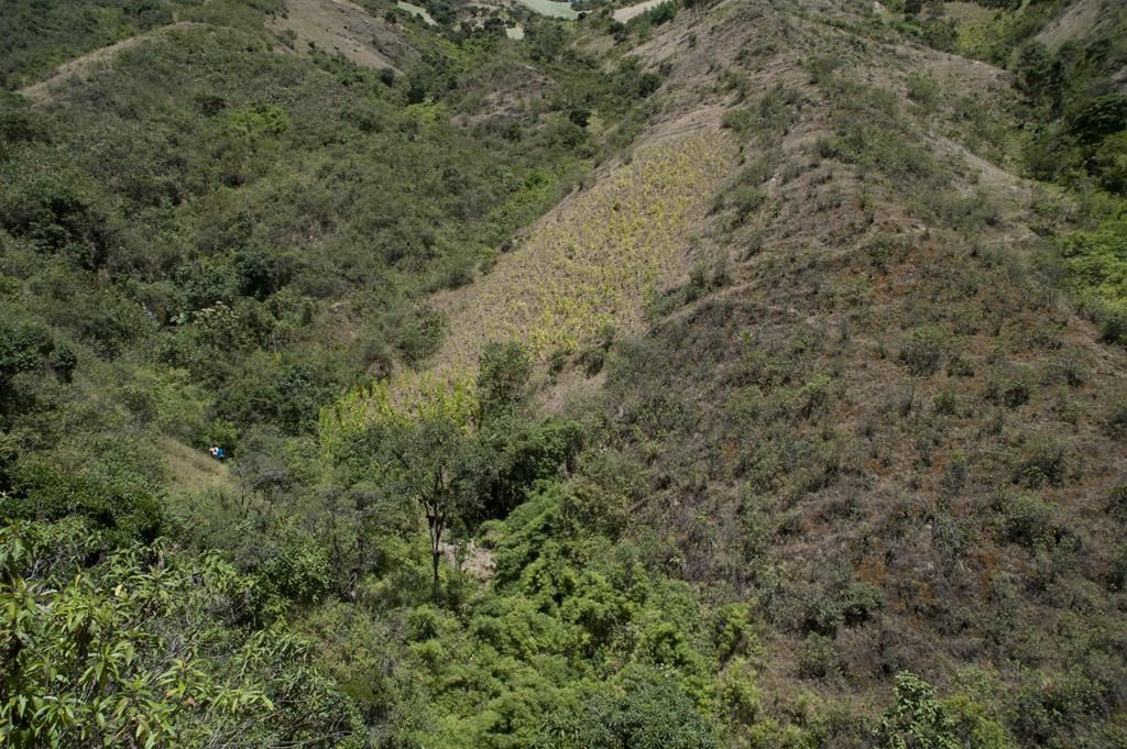 Guaranda