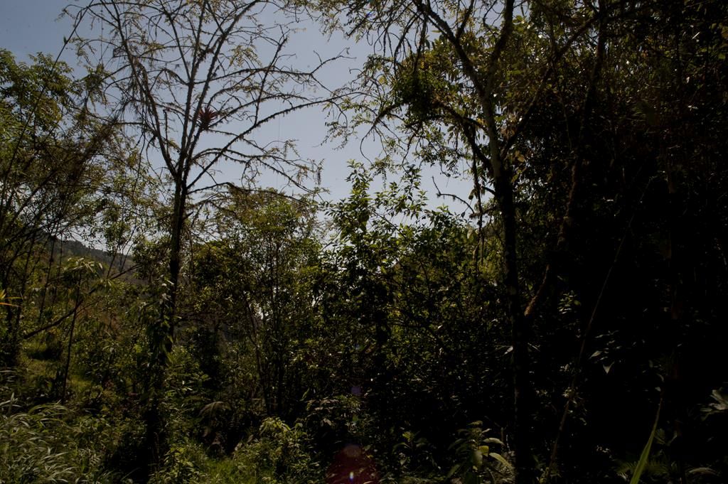 Guaranda