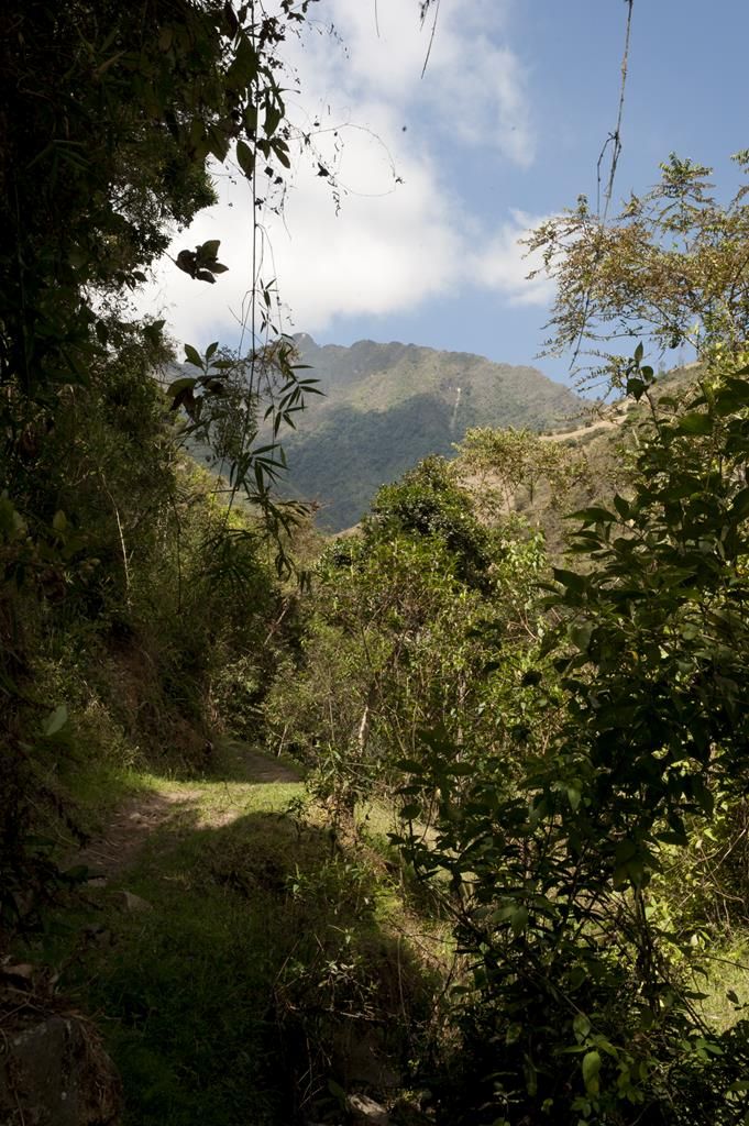 Guaranda