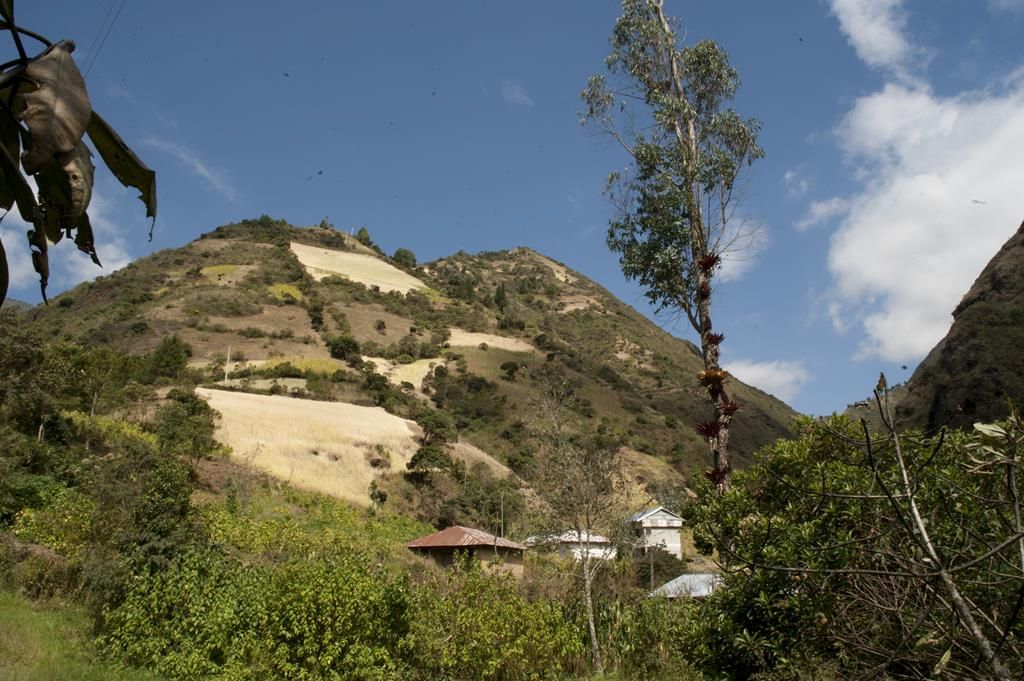 Guaranda