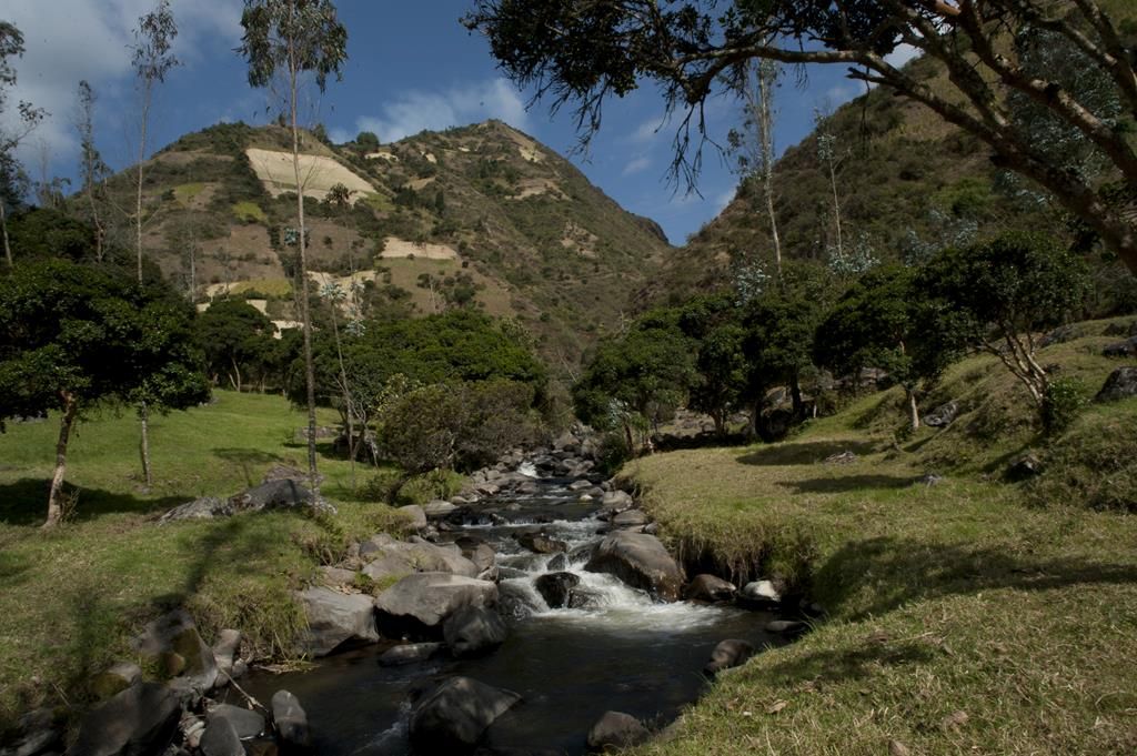 Guaranda