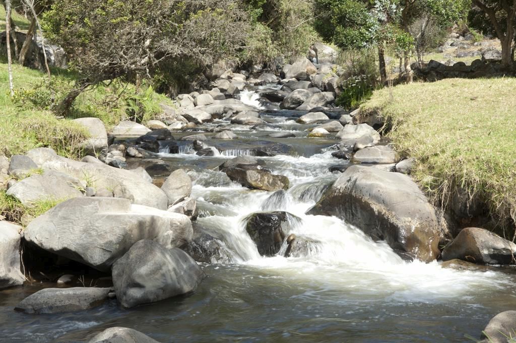 Guaranda