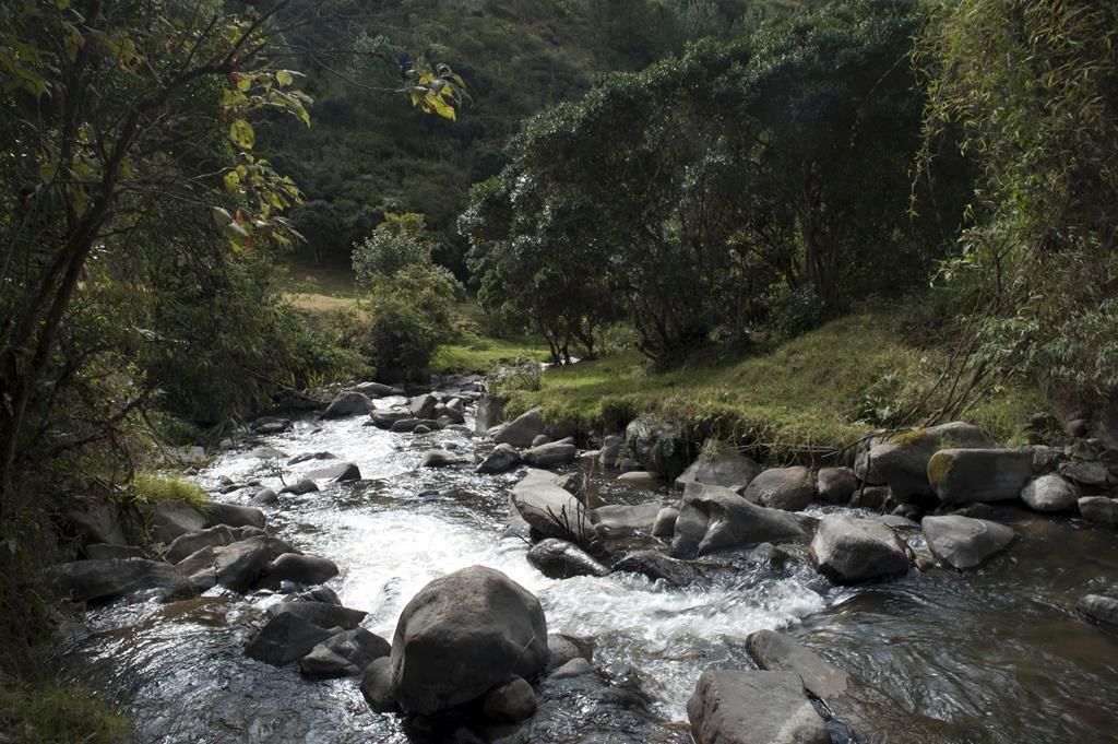 Guaranda
