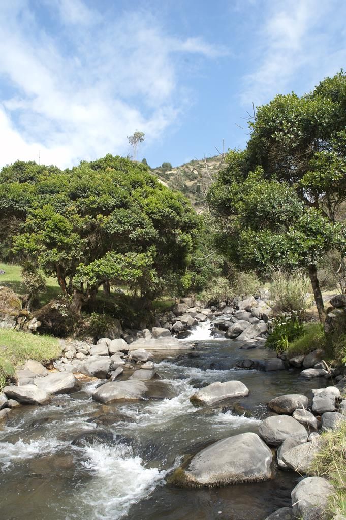Guaranda