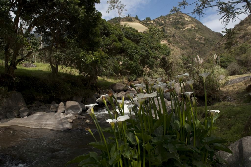Guaranda