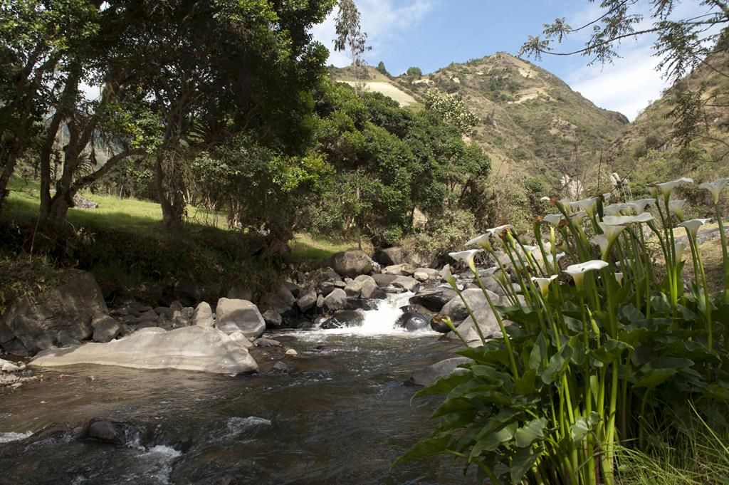 Guaranda
