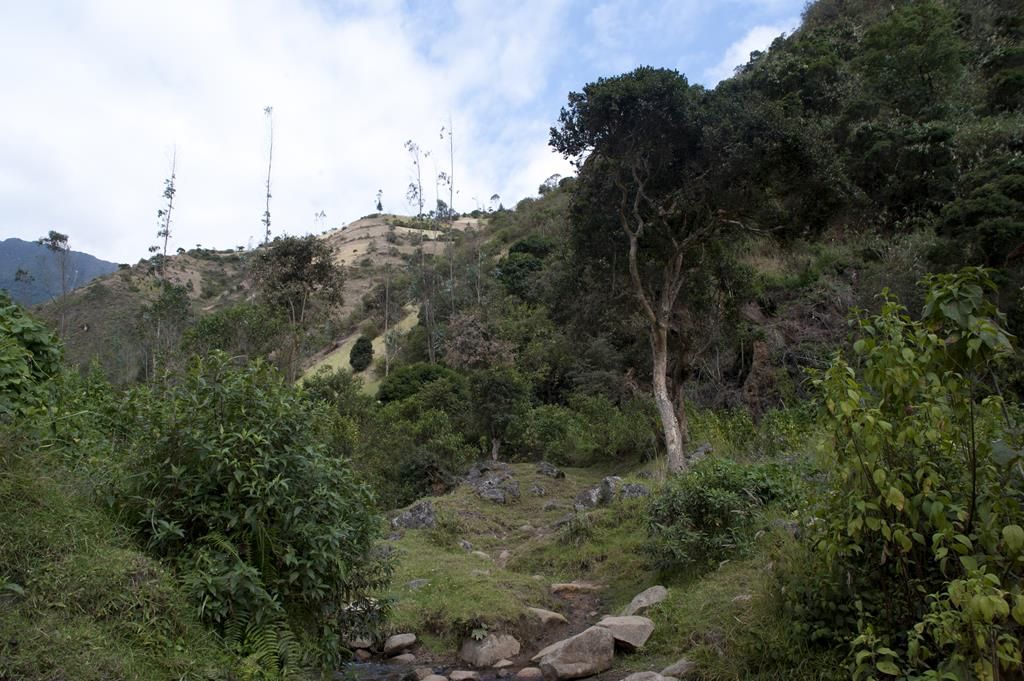 Guaranda