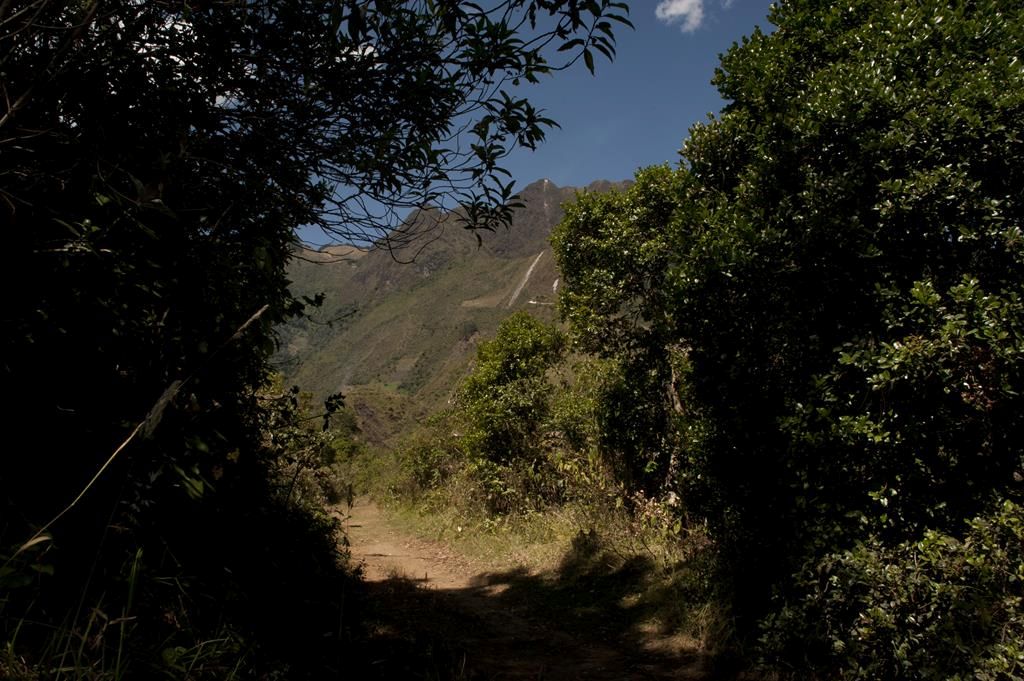 Guaranda