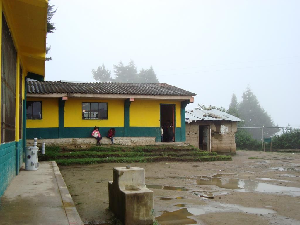 JI Tacarpo (Copy)