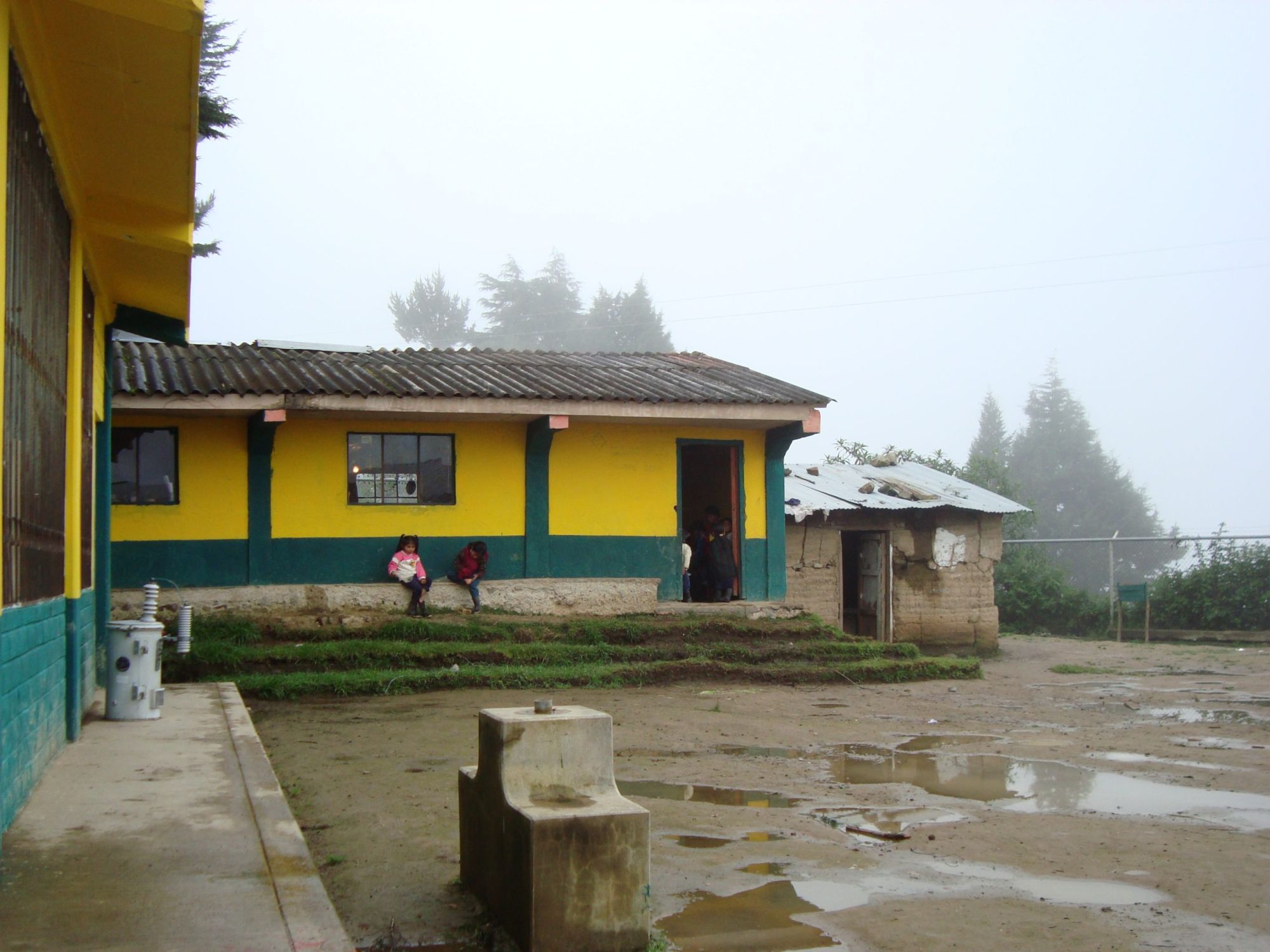JI Tacarpo