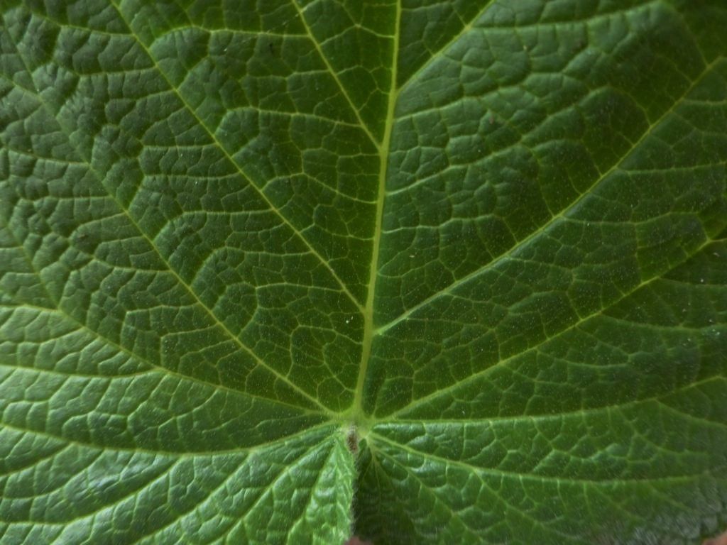 P1040541_1024x768