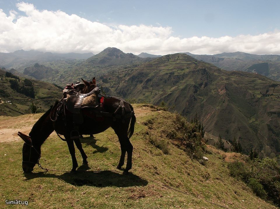 camino a Papaloma