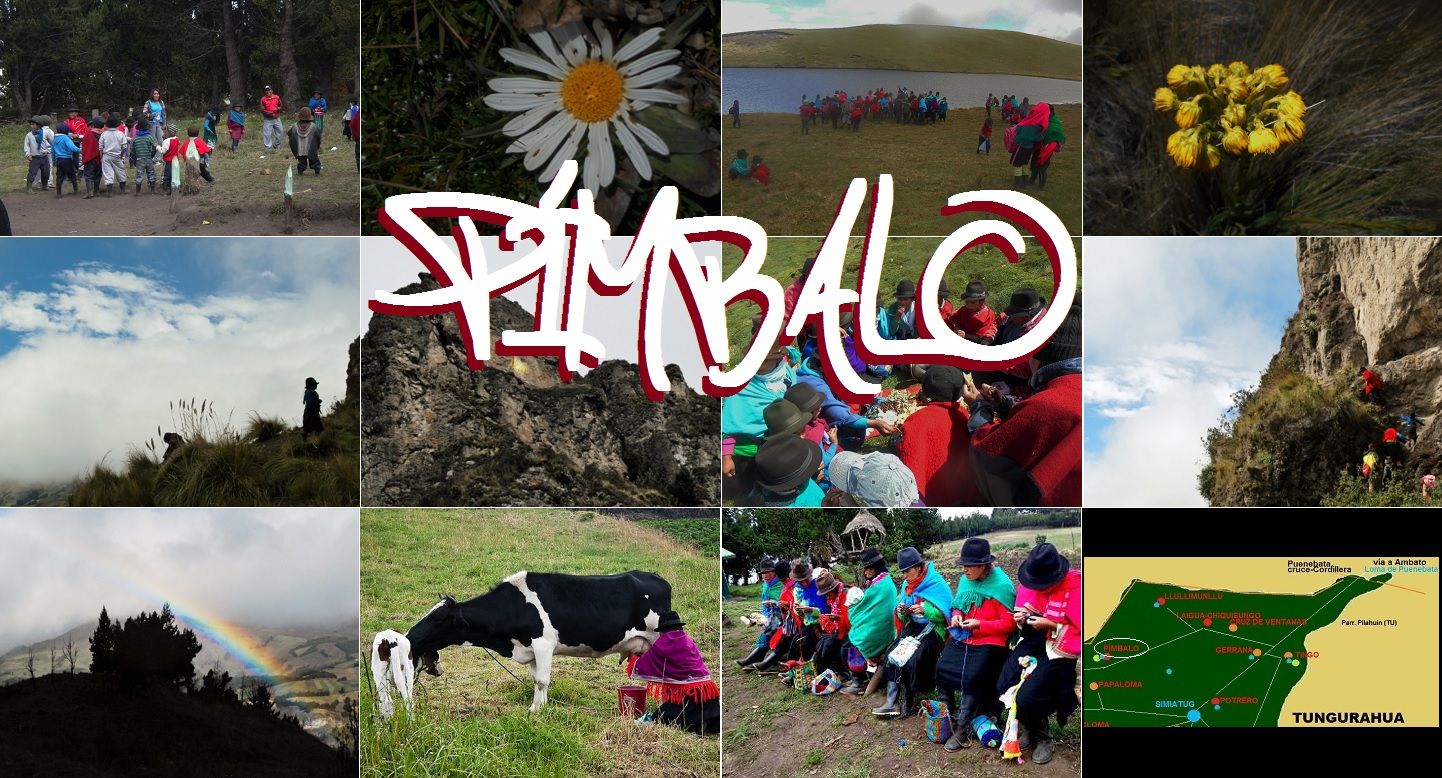 cuadro-PÍMBALO con nombre