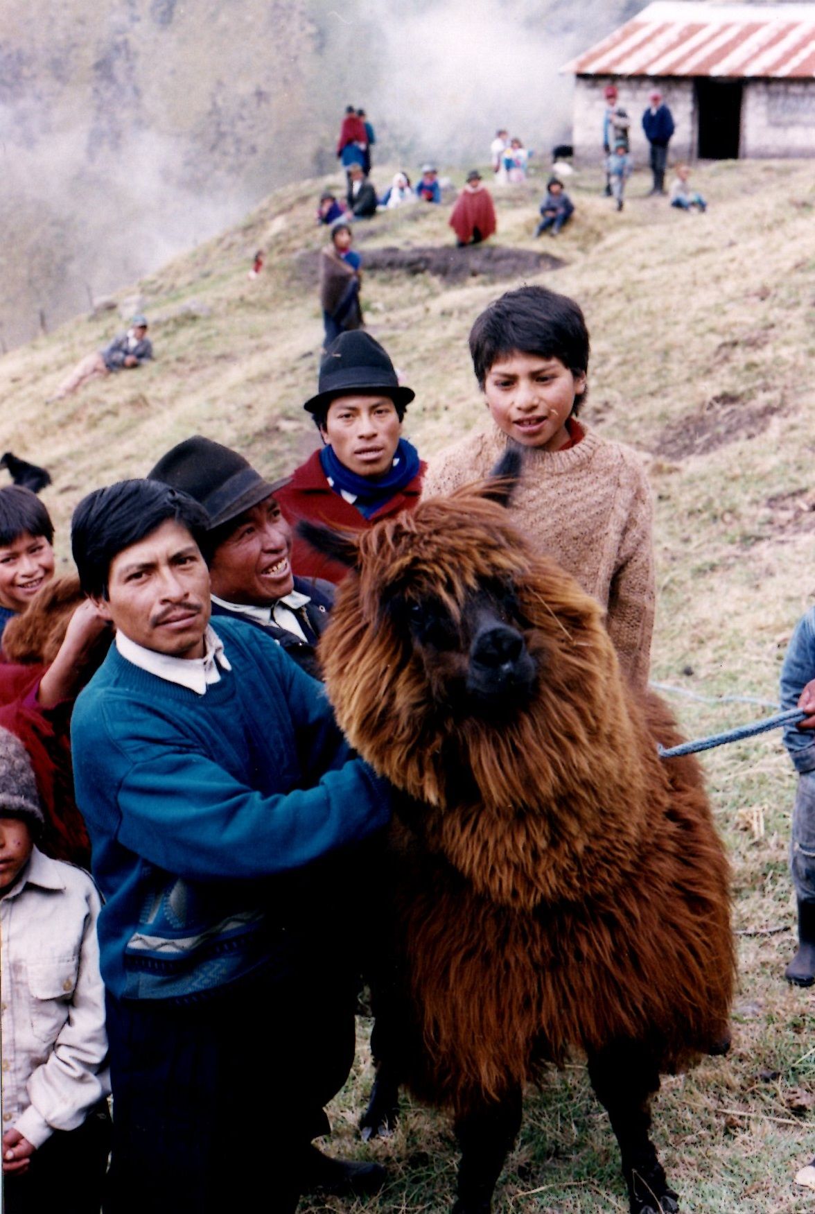 llamas, Boliche 2