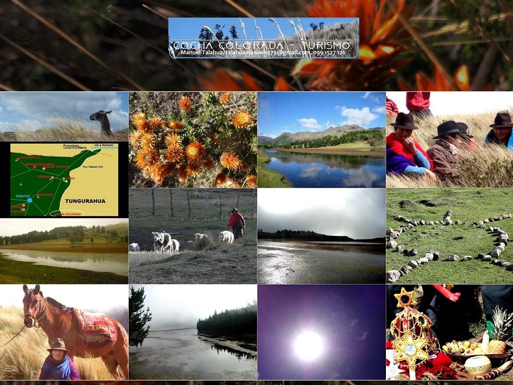 vid-TUR 21