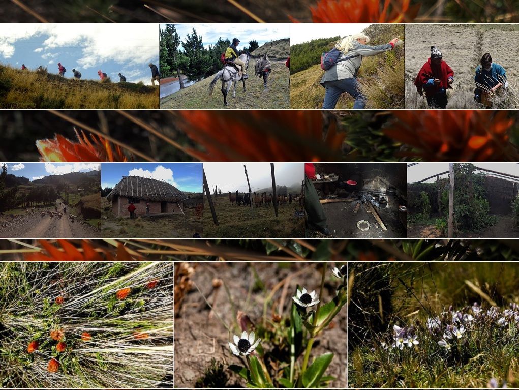 vid-TUR 22