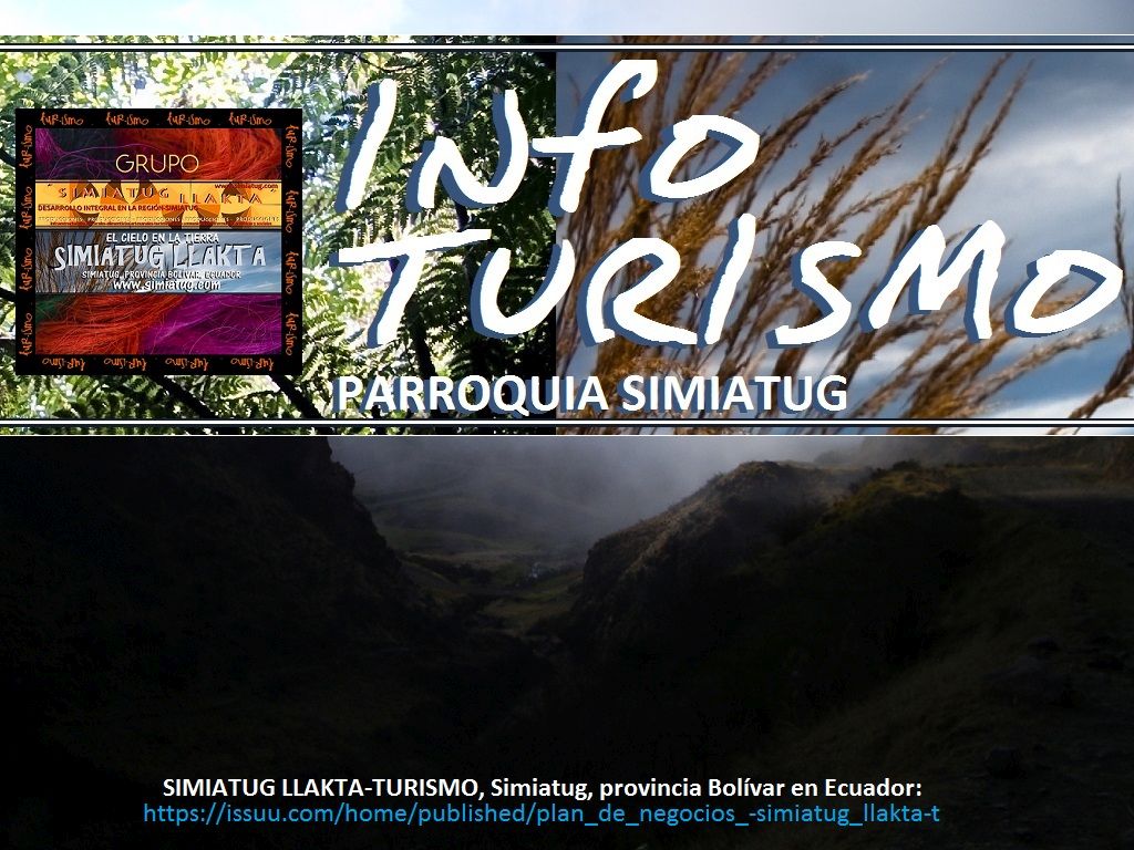 vid-TUR 6