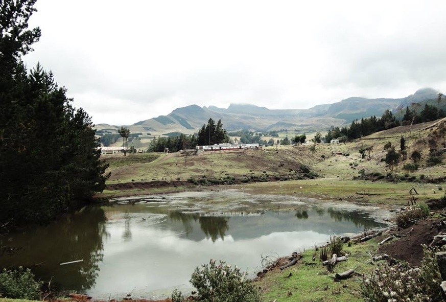 DESDE TOMALOMA, FODIs Y CIBVs